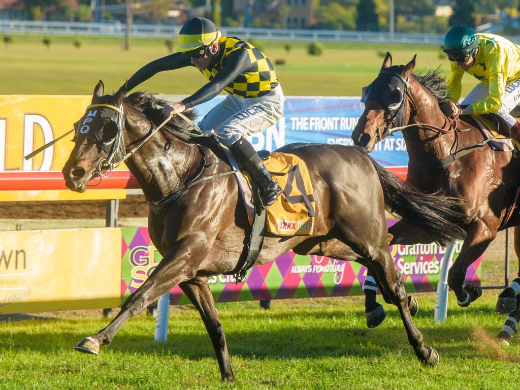 Cogliere, is ridden to the line by Matt McGuren to win the Grafton Toyota South Grafton Cup ahead of Brazen.