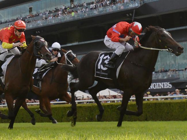 Winning feeling: Damien Oliver makes it 109 Group 1 wins on Australian soil.