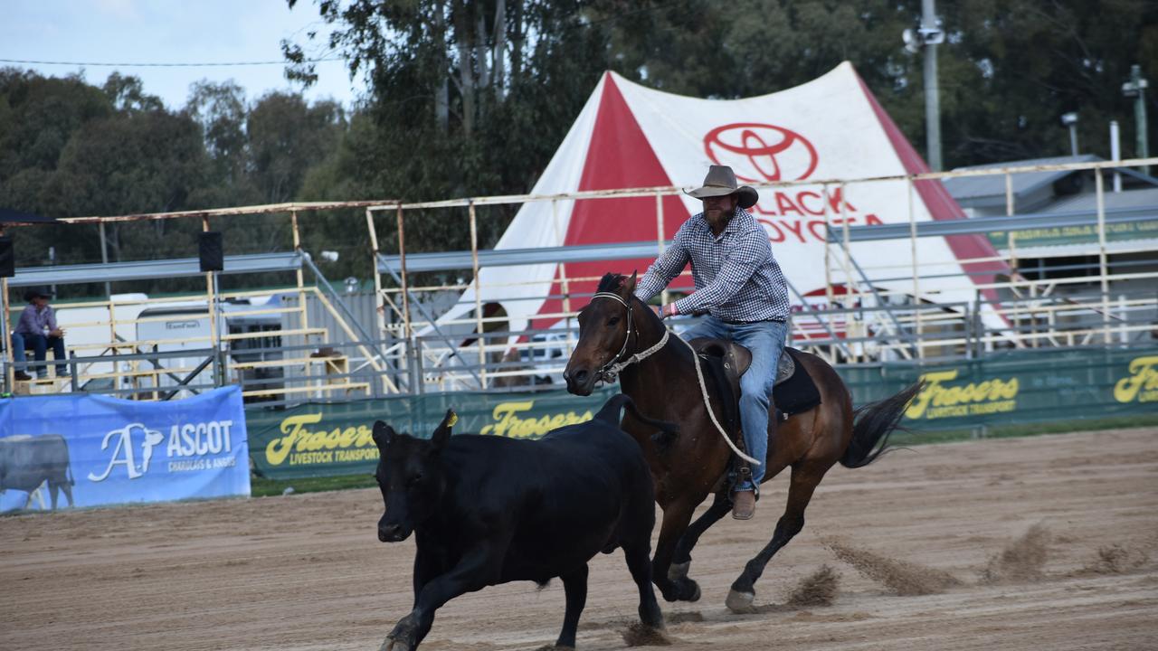 Jason Philp riding Striker in the Warwick Canning Downs Campdraft.