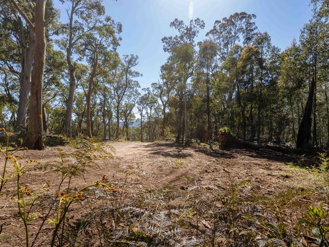 The Grants Historical Area is near the remote town of Dargo, 320km northeast of Melbourne. Picture: Jason Edwards