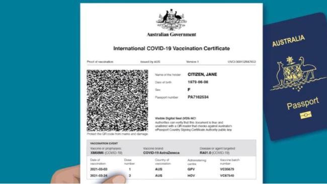 The passport looks like this. Picture: ABC