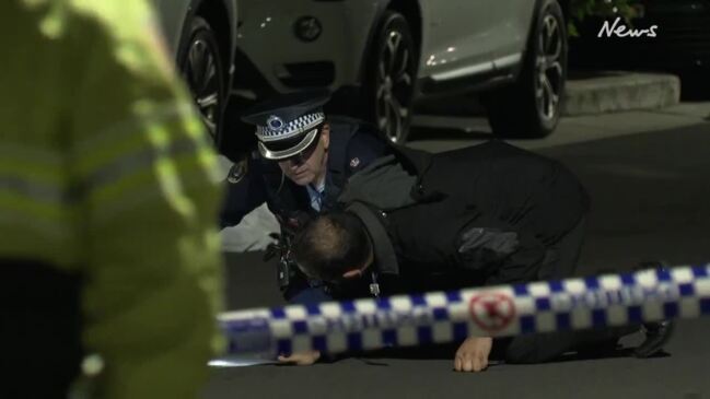 Sydney: 37-year-old Charged With Manslaughter After Alleged Hit-and-run ...