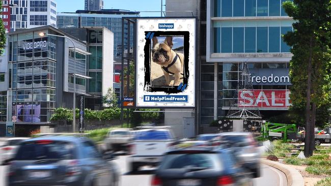 A Logan family have erected billboards to help find their french bulldog named Frank, who they believe was stolen. 