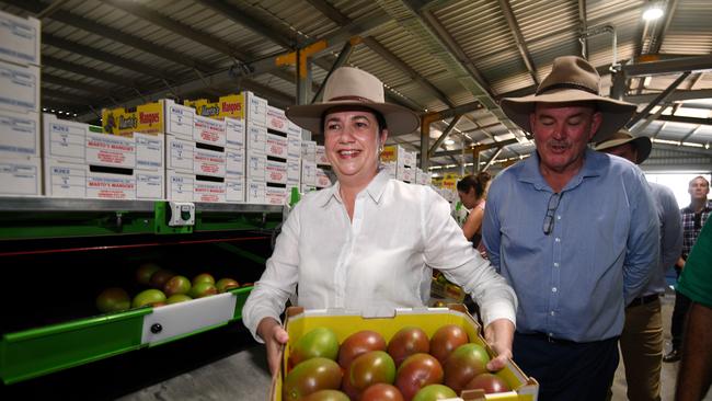 Queensland Premier Annastacia Palaszczuk with candidate for Burdekin Mike Brunker, holding a box of mangoes she packed during a visit to Marto’s Mangoes in Bowen today. Picture: NCA NewsWire / Dan Peled