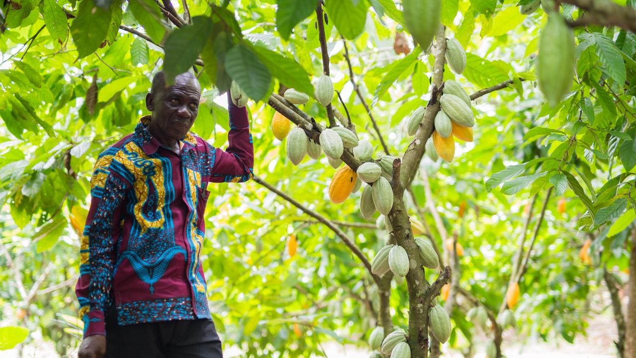 Oheno Baofo, of the Atta ne Atta community, says the Cocoa Life program has bolstered his income.