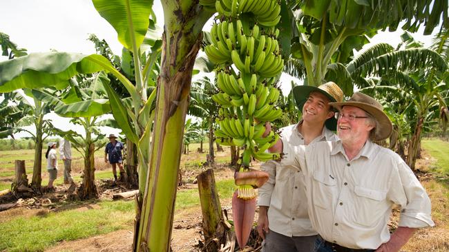 Research scientists Jean-Yves Paul, left, and James Dale with a bunch of QCAV-4 bananas at the QUT facility in the Northern Territory. Picture: Anthony Weate