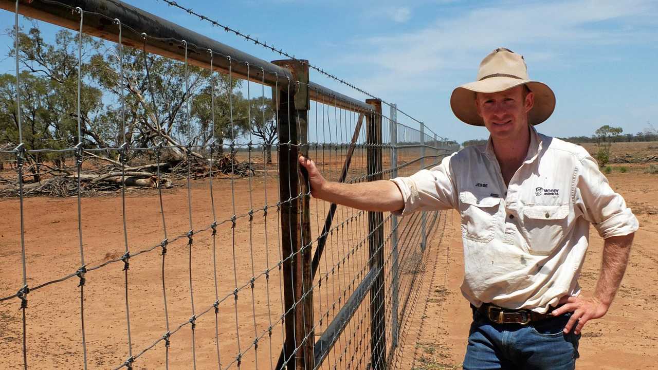 fencing wire in Queensland, Pets