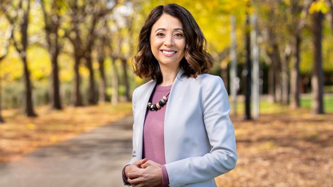 Incumbent Northcote Labor MP Kat Theophanous seems to have weathered a Greens challenge.