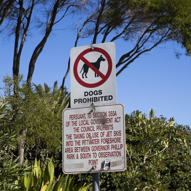 A "Dogs Prohibited" sign at the south end of Station Beach, at Palm Beach. Picture: Dylan Robinson