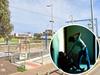 Child Protection home scene of alleged violent pole bashing
