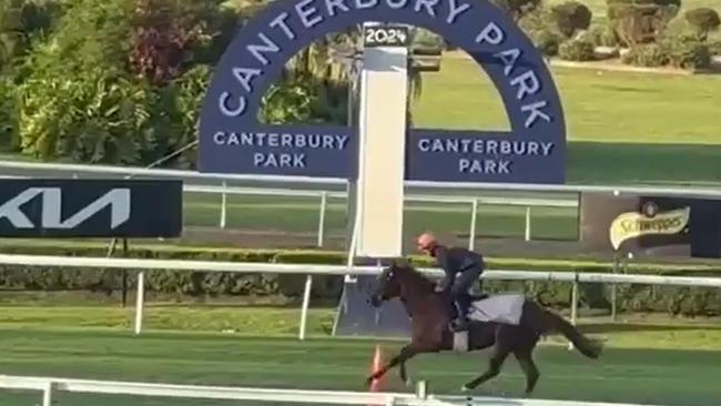 Three international raiders stepped out at Canterbury on Tuesday morning