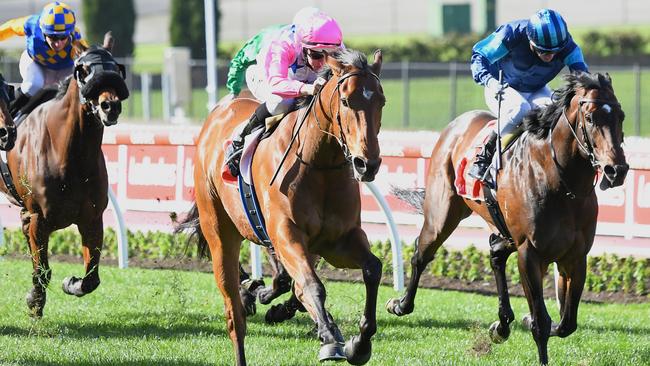 The Inferno ridden by Damian Lane wins the Mitty's McEwen Stakes at The Valley. Picture: Pat Scala/Racing Photos via Getty Images