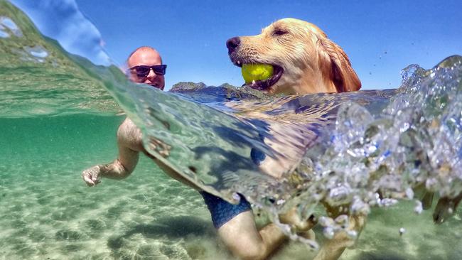 Tom Dutton from Clifton Hill takes his dog Sonny for a swim at Mentone dog beach Picture: Alex Coppel.