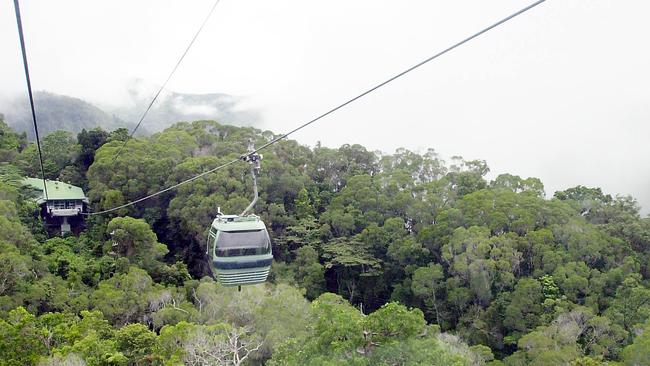 The new Premier backs a cableway in the Gold Coast Hinterland.