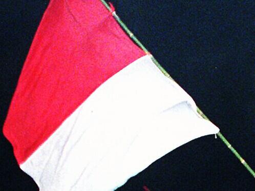 Indonesian students waving national flag from top of bus leaving the grounds of the Parliament House after their occupation during the riots and demonstrations and the resignation of former President Suharto, Jakarta, Indonesia 23 May 1998. /Indonesia/Internal/affairs