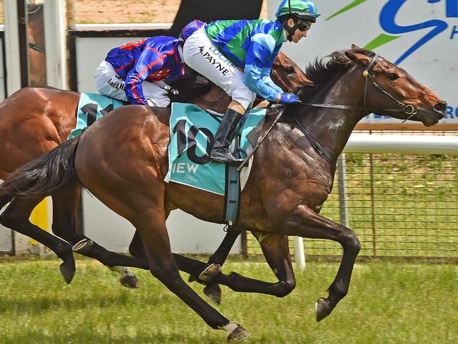 Michelle Payne wins race three at Stawell on Jukila. Picture: Rob Leeson