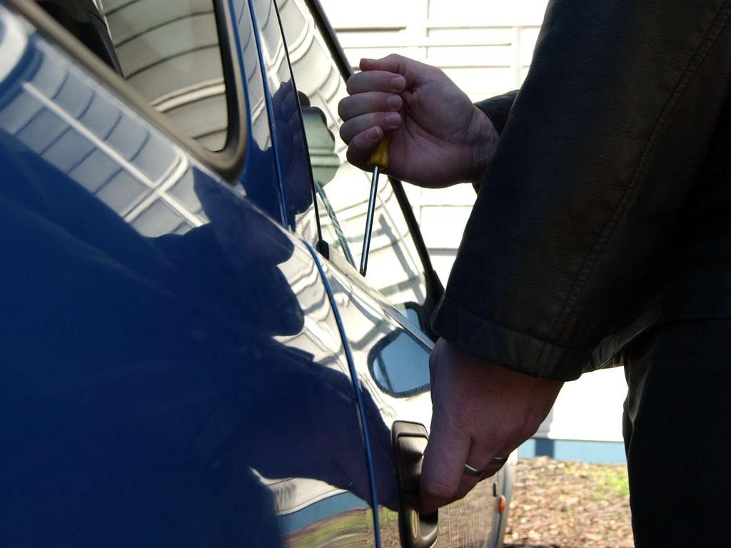 Police corner car thieves in backyard