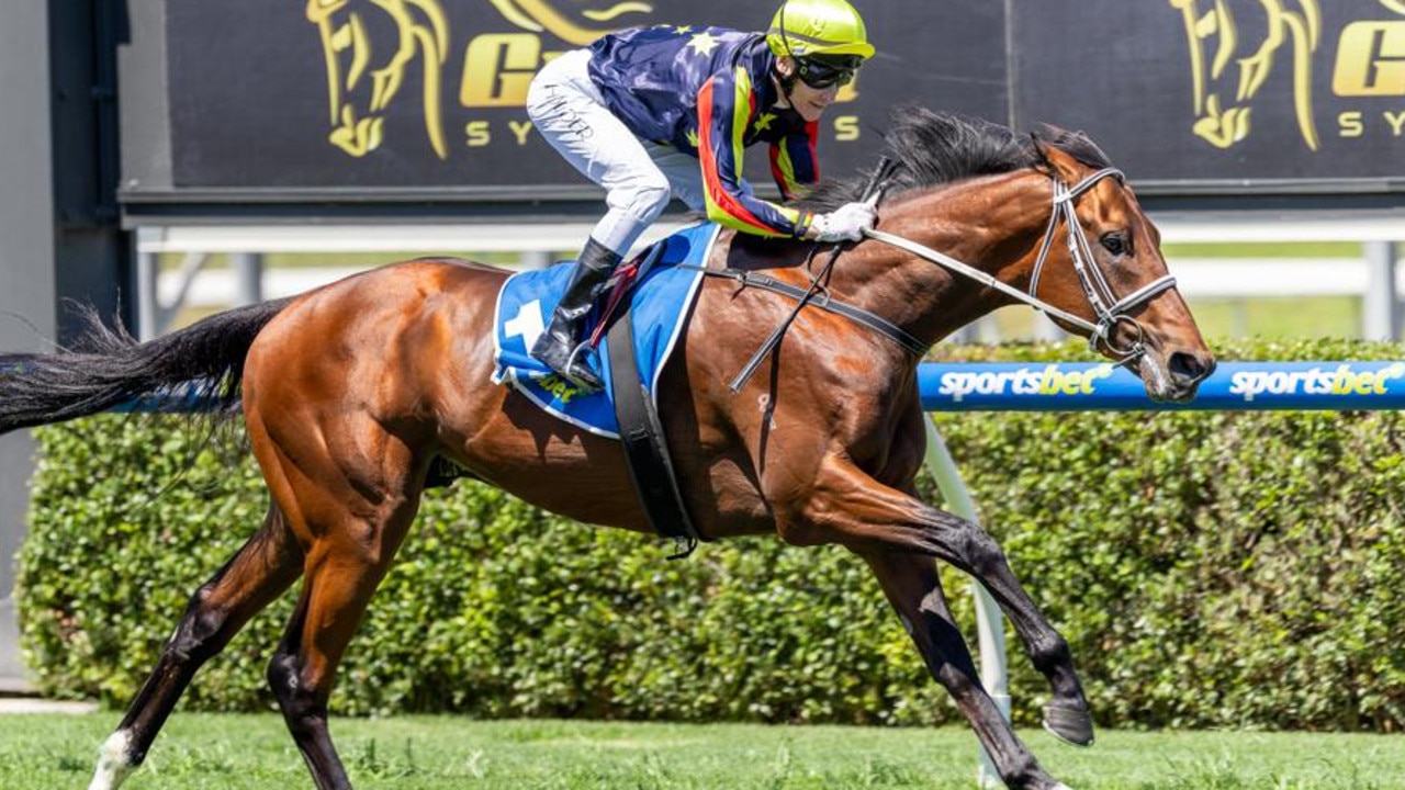 Goldrush Guru will contest his third Derby on Saturday when he runs in the South Australian Derby at Morphettville. Picture: Makoto Kaneko.