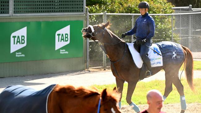 Japanese horse Breakup is currently the eighth favourite for the race. (Photo by William WEST / AFP)