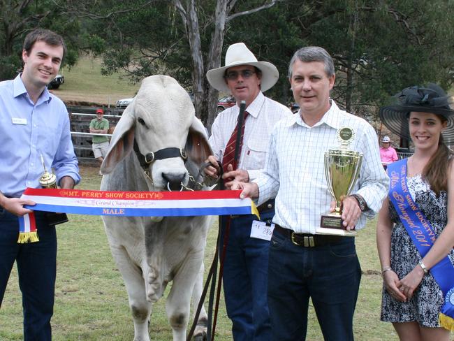 Michael Clerke and Peter Treasure from Suncorp Agribusiness presenting Grand Champion male Whitaker Mr Avo and his owner Clint Whitaker with Mount Perry Showgirl Sarah Bear assisting at the presentation. Photo Rose Reed / Central & North Burnett Times