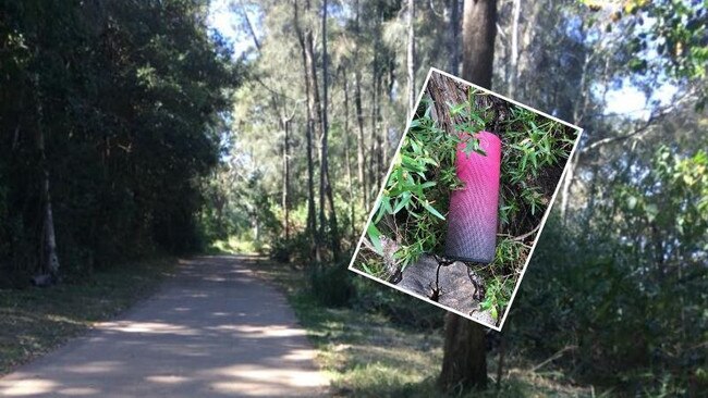 Reports of people hearing a woman screaming for help along the Kincumber to Davistown foreshore walk, only for it to turn out to be a speaker hidden in bushes, has gone viral on social media. Picture: file