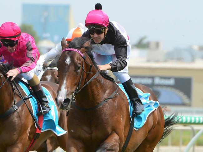 The Drinks Cart, ridden by Ryan Maloney, won the QTIS Two-Years-Old Handicap (900m) at the Gold Coast Turf Club on Wednesday, November 27, 2019. Picture credit: Grant Peters, Trackside Photography.