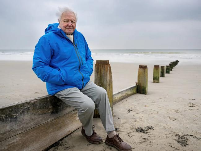 A new film by David Attenborough alerts us to wonders beneath the waves we’ve never seen before. Picture: Conor McDonnell