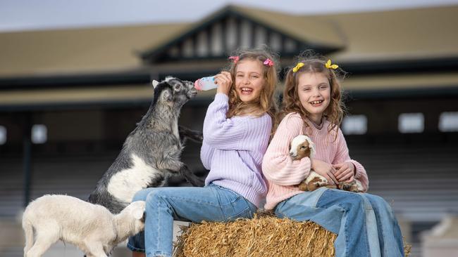 The Royal Melbourne Show will be back in full swing this September. Picture: Jason Edwards