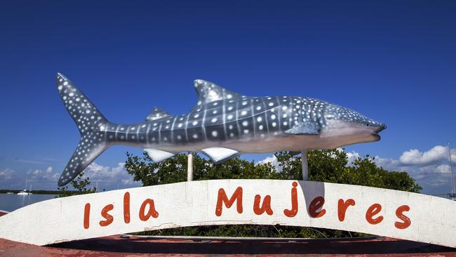 Isla Mujeres in Mexico is famous for its whale sharks.