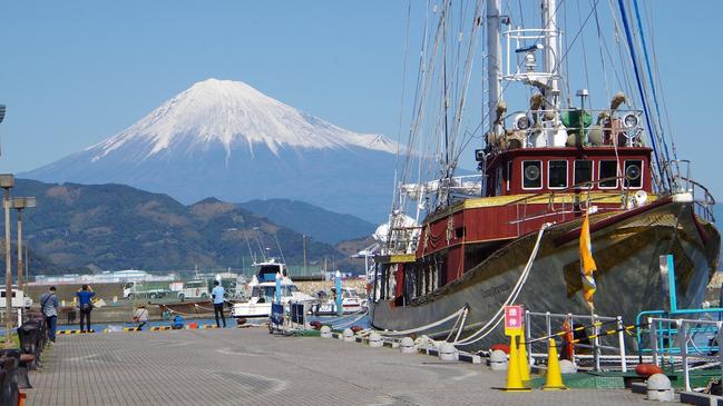 Beautiful and Mt Fuji stands out under a blue sky in a view from Shimuzu. 