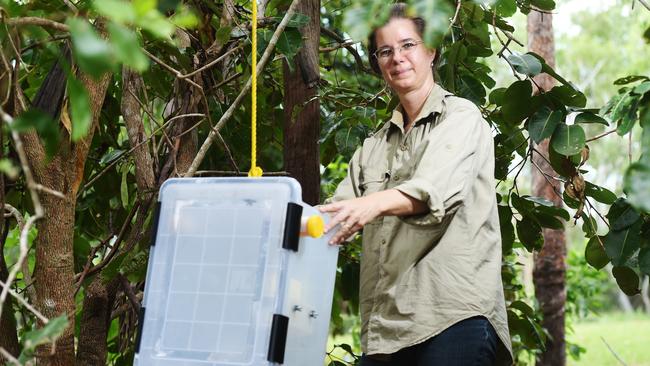 NT Health Medical Entomology Director Nina Kurucz.