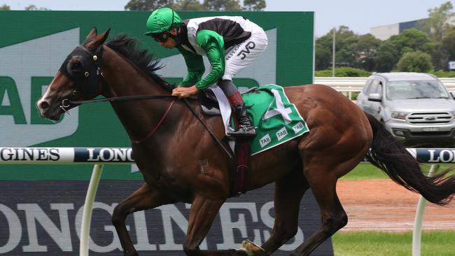 Banju looks a good chance at Rosehill on Wednesday. Picture: Grant Guy