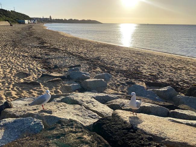 New Year’s Eve in Mornington. Picture: Vicki Caslake, Lilydale.