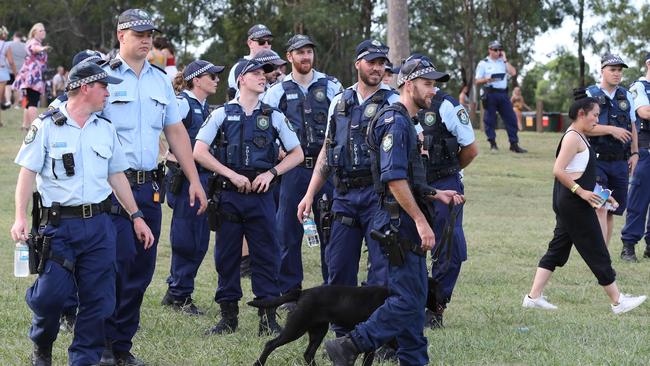 There was a heavy police presence at the FOMO festival. Picture: David Swift