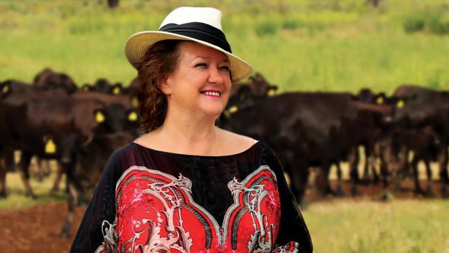 Gina Rinehart’s Hancock Prospecting also paid $4.4bn in state and commonwealth taxes.