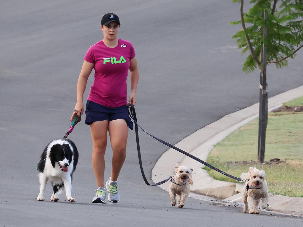 A pregnant Ash Barty takes her dogs for a morning walk near her home at Brookwater. (WP Media)