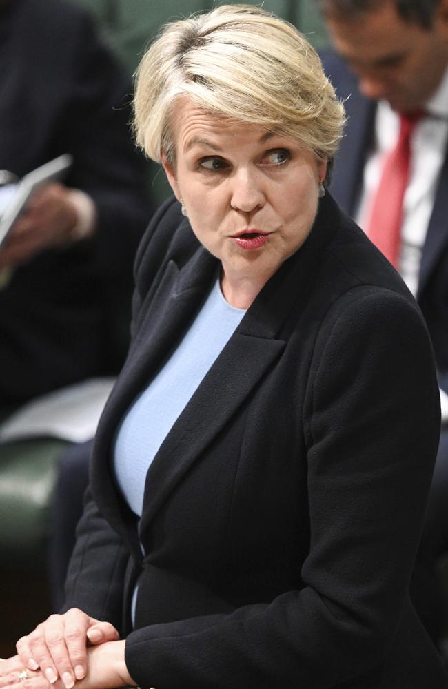 Minister for Environment and Water Tanya Plibersek has the power to reverse the state government’s approval of Whitehaven’s $1bn coal mine that will release almost 600m tonnes of greenhouse gases over its 28 year lifetime. Picture: NCA NewsWire / Martin Ollman