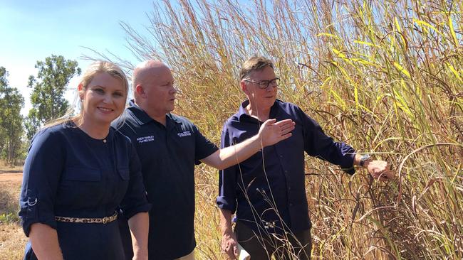 Territory Alliance candidates Rachael Wright (Goyder), Andy Harley (Nelson), Terry Mills (Blain) with some Gamba grass. Picture: Madura McCormack