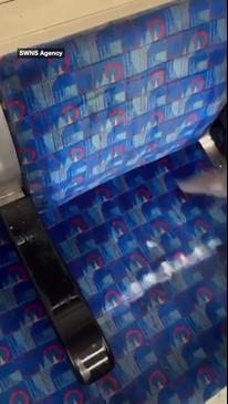 Grim footage reveals how filthy trains are