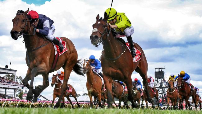 Almandin, left, is expected to return to defend his Melbourne Cup crown in the spring. Picture: George Salpigtidis