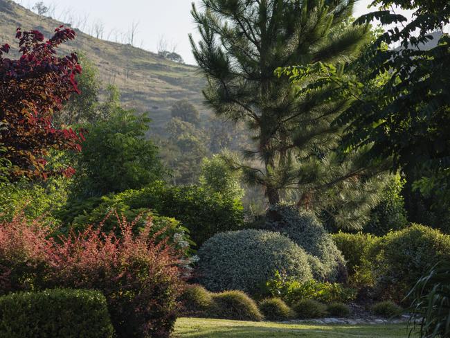 Tenterfield garden Eagles Bluff designed by Carolyn Robinson, from the book <i>Australian Landscape Designers</i>. Pictures:  Nicholas Watt 