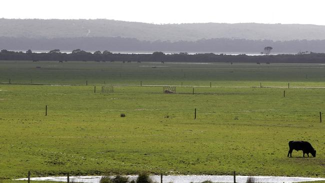 The proposed site of the Robbins Island wind farm development from Bevan Anderson's property at Montagu. PICTURE: CHRIS KIDD