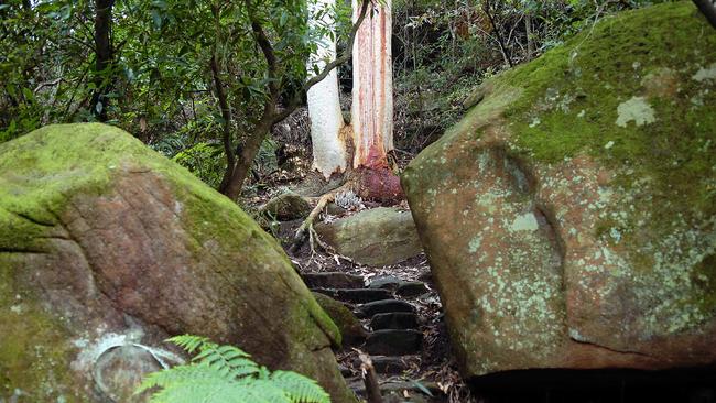 Environmental concerns have been raised over impacts at Flat Rock Gully.