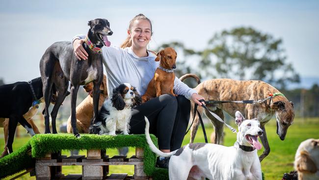 Doggy Play Park owner Miranda Bailey says her park doesn’t discriminate against dog breeds. Picture: Mark Stewart