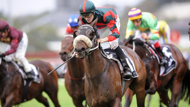 Koby Jennings gets home aboard So Willie at Rosehill Gardens on Saturday night. Picture: Simon Bullard