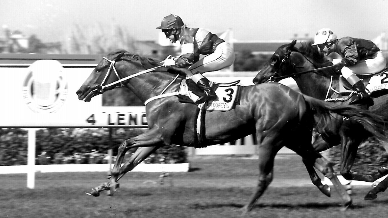 Racehorse |Tierce| ridden by jockey Shane (R S) Dye winning 1991 Golden Slipper Stakes at Rosehill. 04/91. Sport / Turf / Action