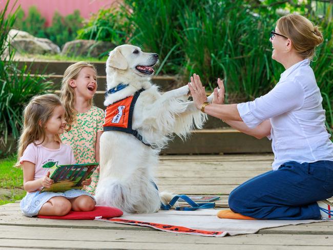 Daily Telegraph. 07, March, 2024.**Embargoed, please see Nicola Amoros DT Pic desk**Carla, 5, and Lea Schell, 5, with Nicole Rosenthal and her golden retrieverLotti, a volunteer with the Story Dogs Reading Program, at the German International School, Terry Hills, Sydney, today.Picture: Justin Lloyd.