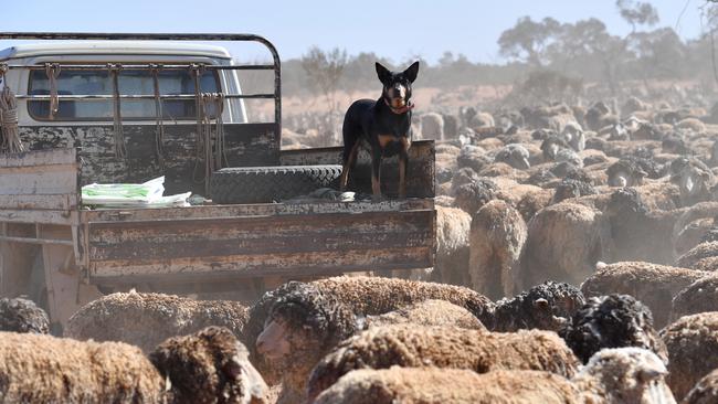 Broken Hill in 2018. Picture: supplied.