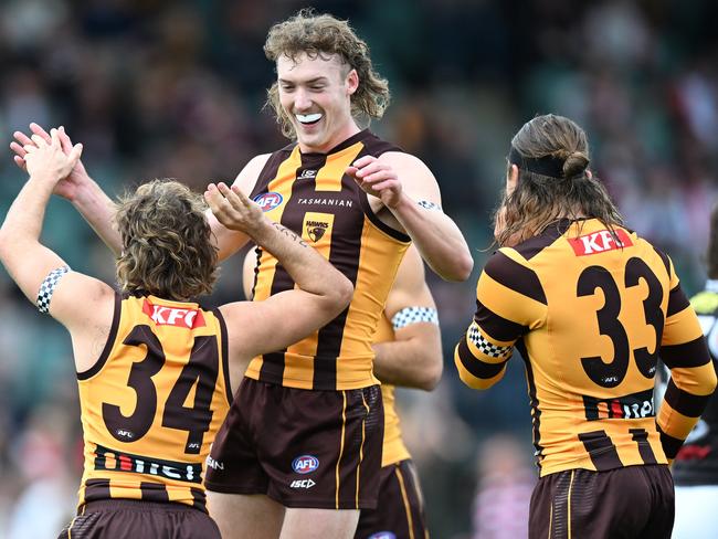 Exciting young Hawks Nick Watson and Josh Weddle are closing in on the game’s elite ranks. Picture: Steve Bell / Getty Images