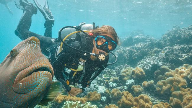 Diving on the Great Barrier Reef is back on the agenda for Easter holiday makers. Pic: Tourism Tropical North Queensland